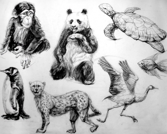 Sketch Tiere