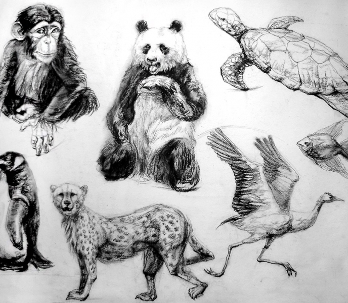 Sketch Tiere